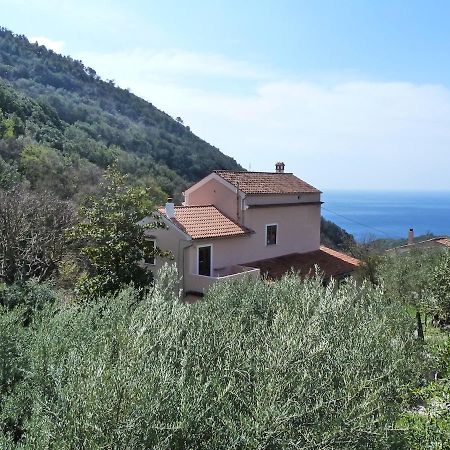 Casa Puccini B&B 马拉泰亚 外观 照片