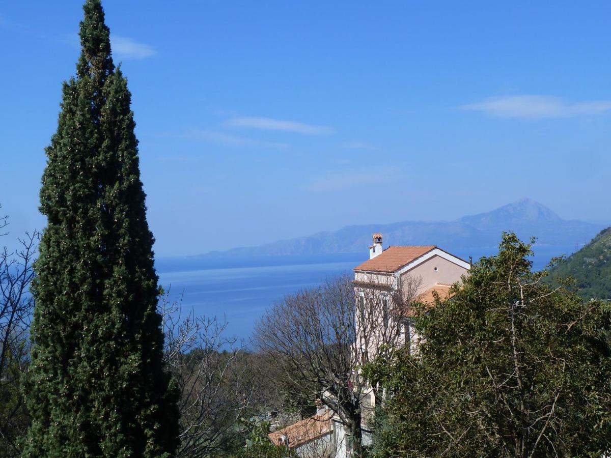 Casa Puccini B&B 马拉泰亚 外观 照片