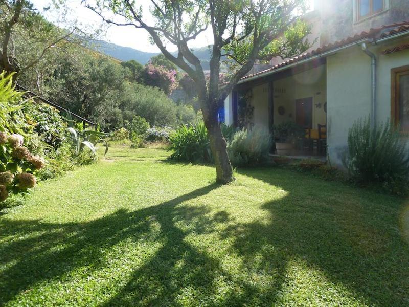 Casa Puccini B&B 马拉泰亚 外观 照片