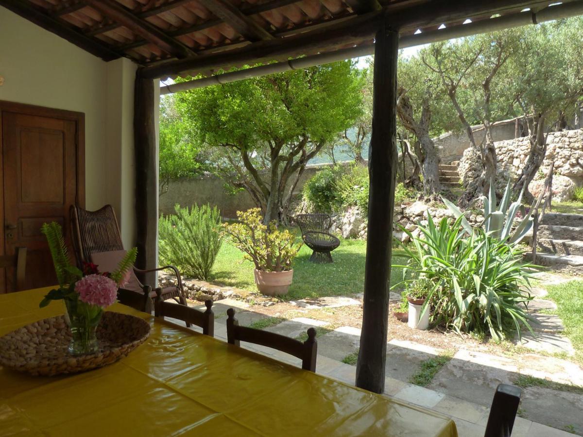 Casa Puccini B&B 马拉泰亚 外观 照片