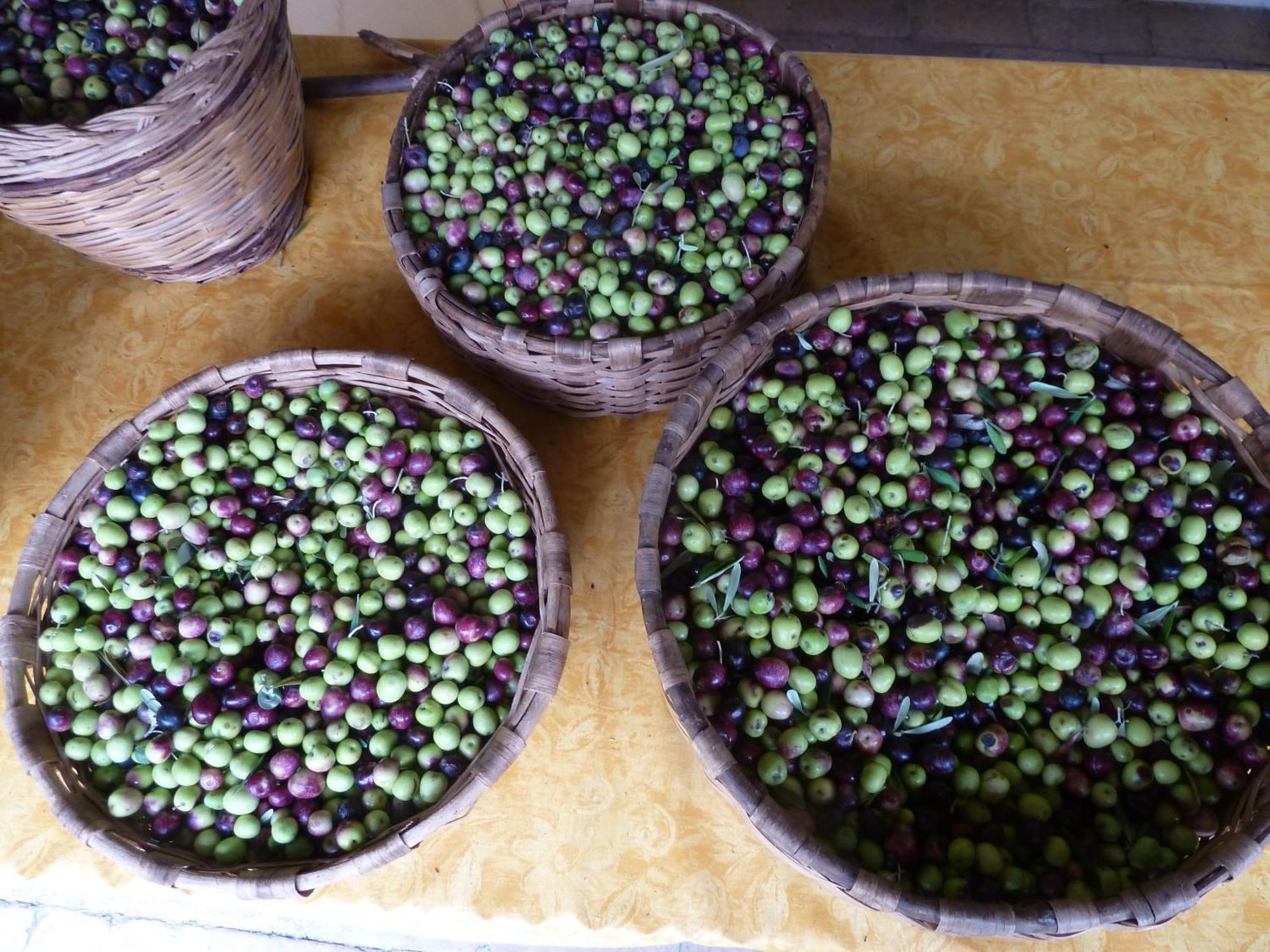 Casa Puccini B&B 马拉泰亚 外观 照片